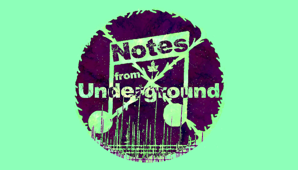 Notes From Underground