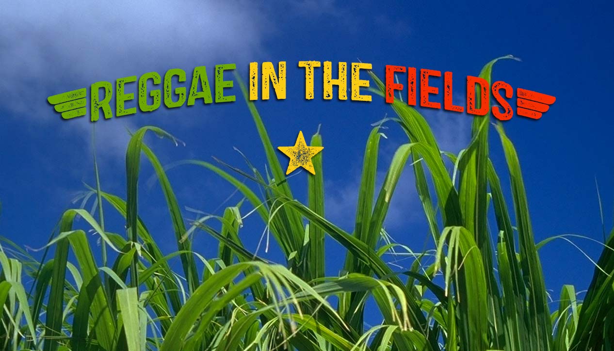 Reggae In The Fields